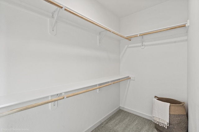 310 N Viewmont Ct Unit 7/1Canyon, Greenacres, WA 99016 - photo 19
