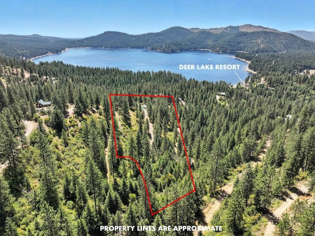 LOT18 W Canyon Springs Way, Loon Lake, WA 99148 - photo 1