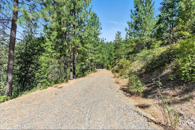 LOT18 W Canyon Springs Way, Loon Lake, WA 99148 - photo 11