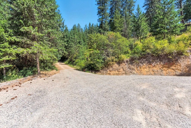 LOT18 W Canyon Springs Way, Loon Lake, WA 99148 - photo 13