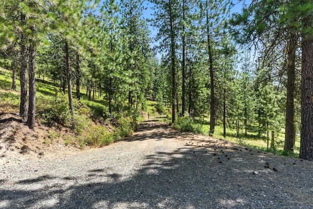 LOT18 W Canyon Springs Way, Loon Lake, WA 99148 - photo 14