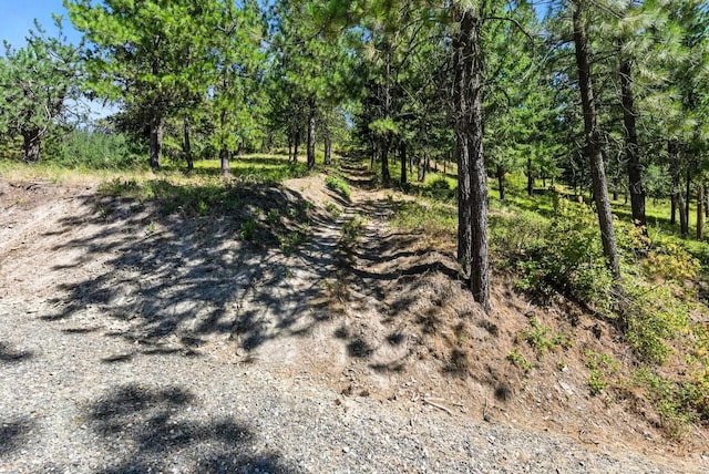 LOT18 W Canyon Springs Way, Loon Lake, WA 99148 - photo 15
