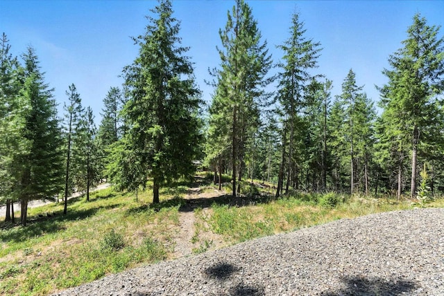 LOT18 W Canyon Springs Way, Loon Lake, WA 99148 - photo 16