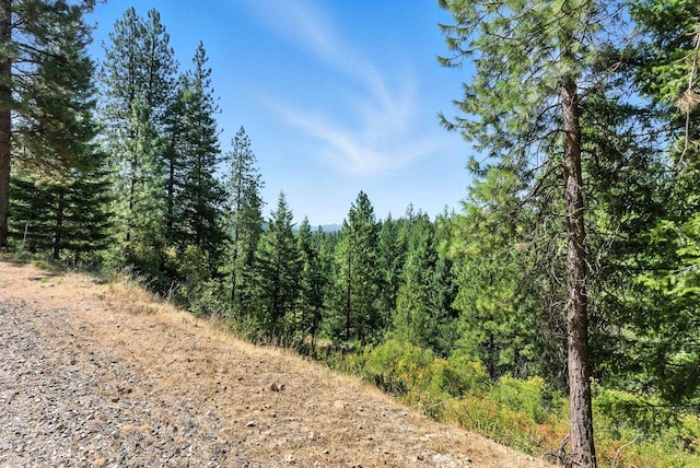 LOT18 W Canyon Springs Way, Loon Lake, WA 99148 - photo 18