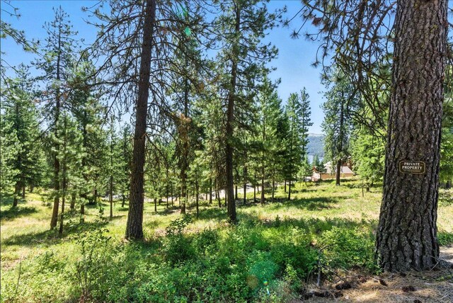 LOT18 W Canyon Springs Way, Loon Lake, WA 99148 - photo 19