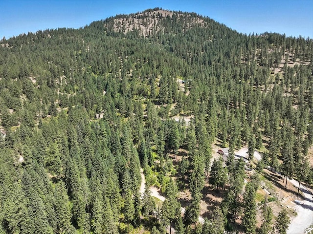 LOT18 W Canyon Springs Way, Loon Lake, WA 99148 - photo 23