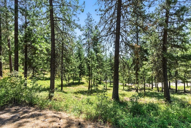LOT18 W Canyon Springs Way, Loon Lake, WA 99148 - photo 25
