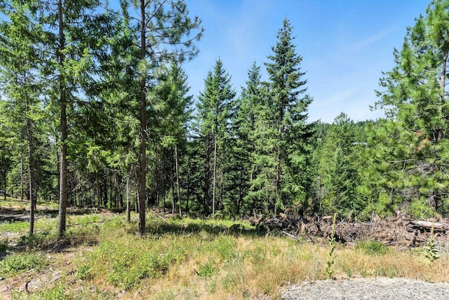LOT18 W Canyon Springs Way, Loon Lake, WA 99148 - photo 26
