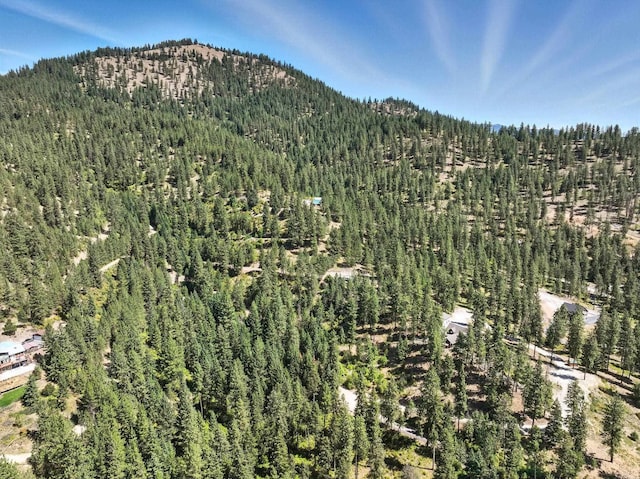 LOT18 W Canyon Springs Way, Loon Lake, WA 99148 - photo 27