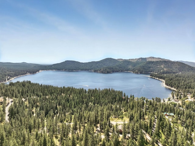 LOT18 W Canyon Springs Way, Loon Lake, WA 99148 - photo 29