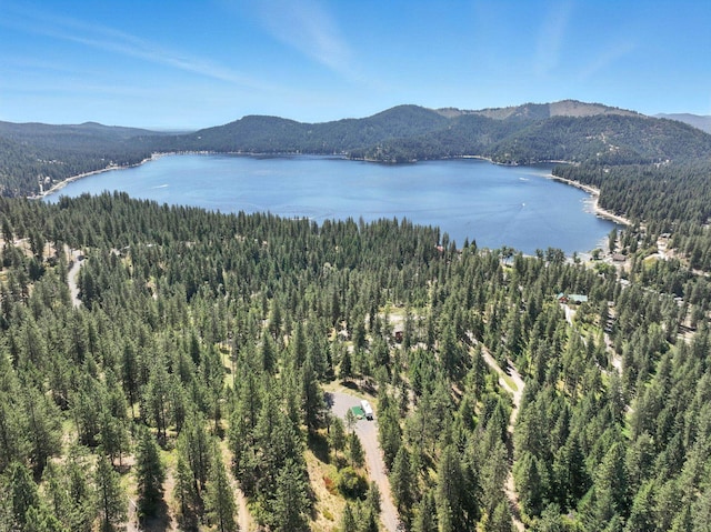 LOT18 W Canyon Springs Way, Loon Lake, WA 99148 - photo 31