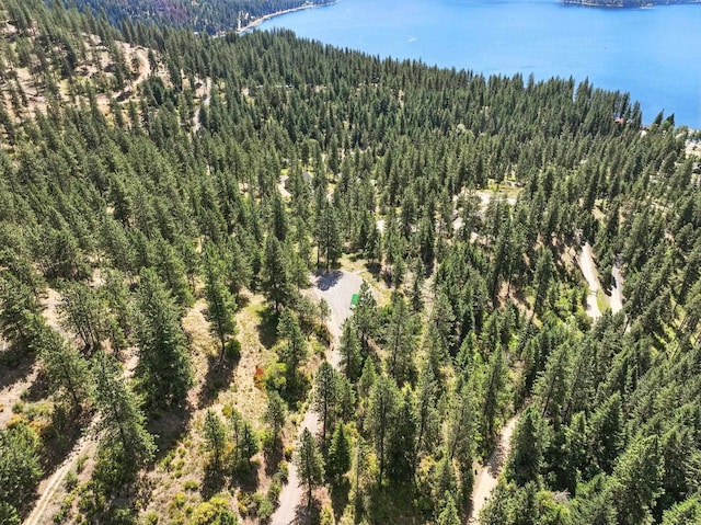 LOT18 W Canyon Springs Way, Loon Lake, WA 99148 - photo 32