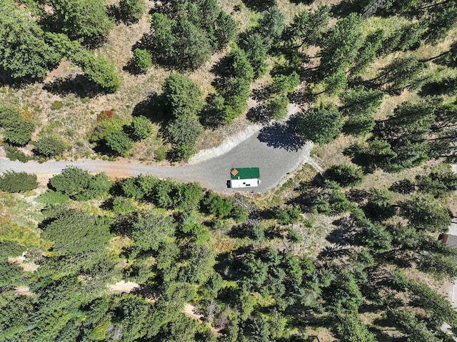 LOT18 W Canyon Springs Way, Loon Lake, WA 99148 - photo 6