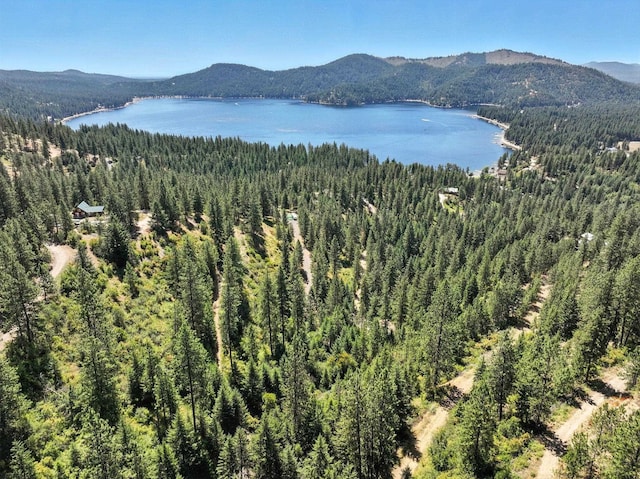 LOT18 W Canyon Springs Way, Loon Lake, WA 99148 - photo 7