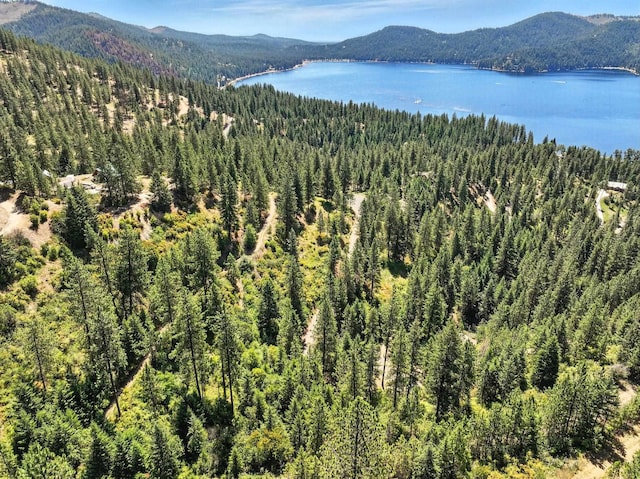 LOT18 W Canyon Springs Way, Loon Lake, WA 99148 - photo 8