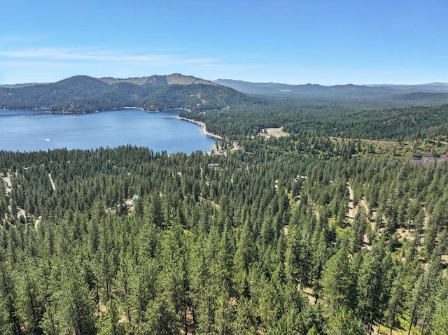 LOT18 W Canyon Springs Way, Loon Lake, WA 99148 - photo 9