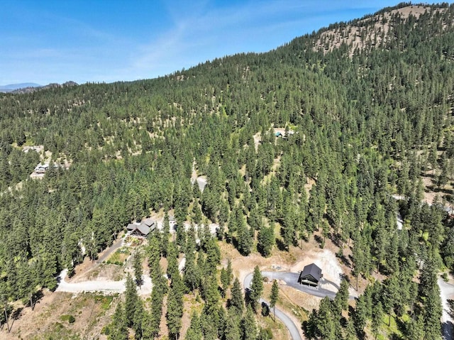 LOT18 W Canyon Springs Way, Loon Lake, WA 99148 - photo 10