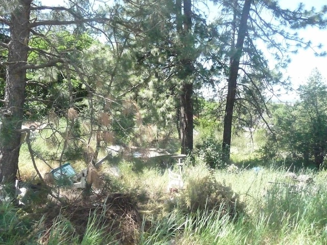 8TH Florida St, Spokane, WA 99202 - photo 2