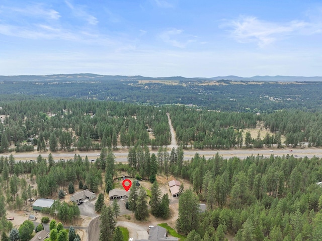 3923 E Woolard Ct, Colbert, WA 99005 - photo 43