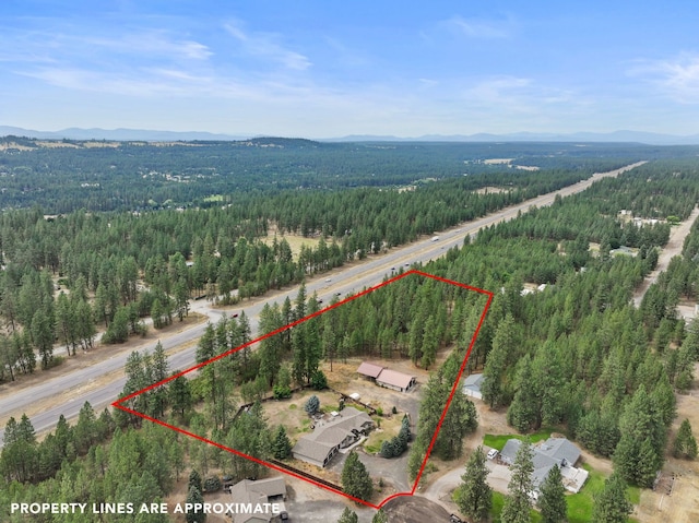 3923 E Woolard Ct, Colbert, WA 99005 - photo 44