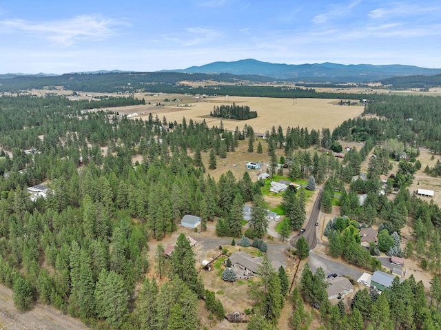 3923 E Woolard Ct, Colbert, WA 99005 - photo 45