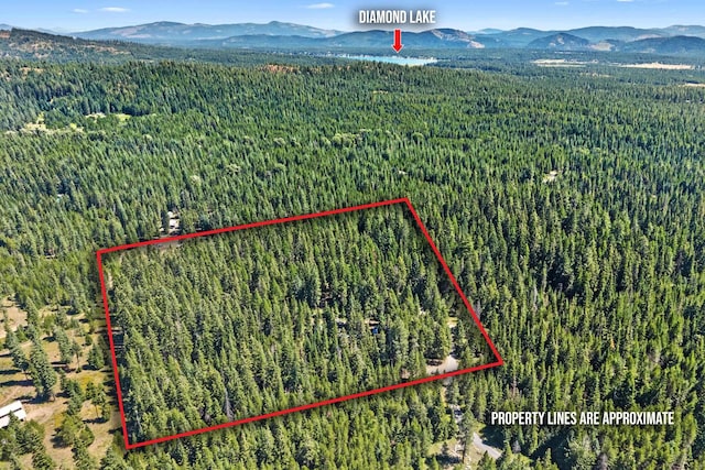 372 Spring Hill Rd, Newport, WA 99156 - photo 1
