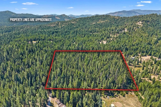 372 Spring Hill Rd, Newport, WA 99156 - photo 2