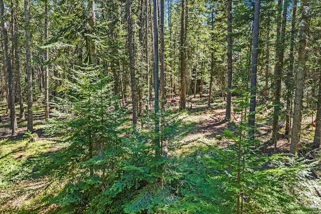 372 Spring Hill Rd, Newport, WA 99156 - photo 13