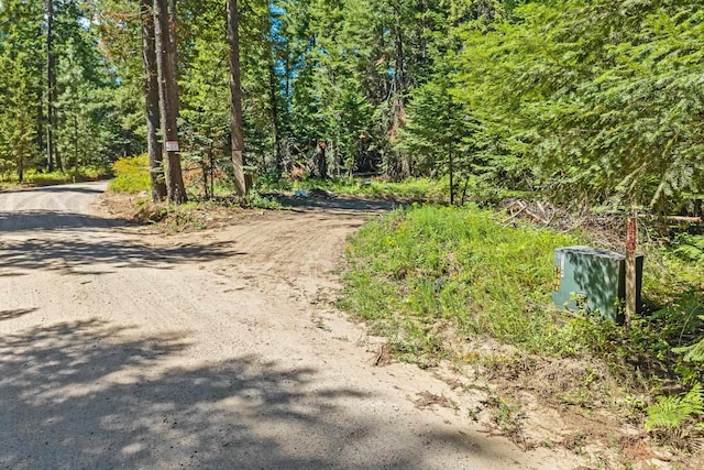 372 Spring Hill Rd, Newport, WA 99156 - photo 3
