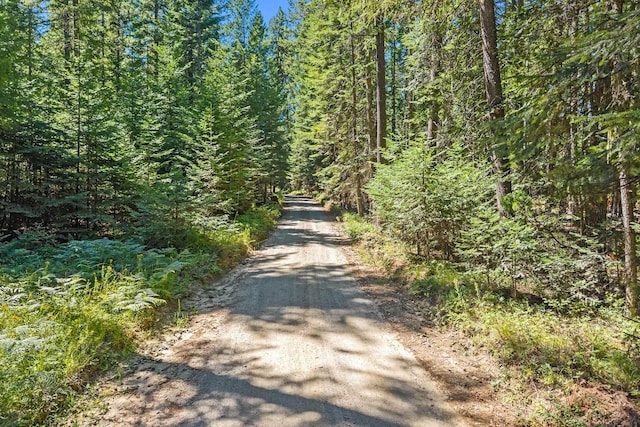 372 Spring Hill Rd, Newport, WA 99156 - photo 21