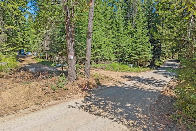 372 Spring Hill Rd, Newport, WA 99156 - photo 5