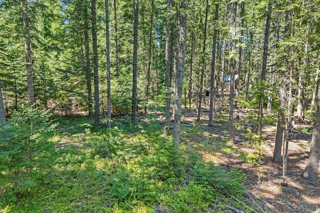 372 Spring Hill Rd, Newport, WA 99156 - photo 6
