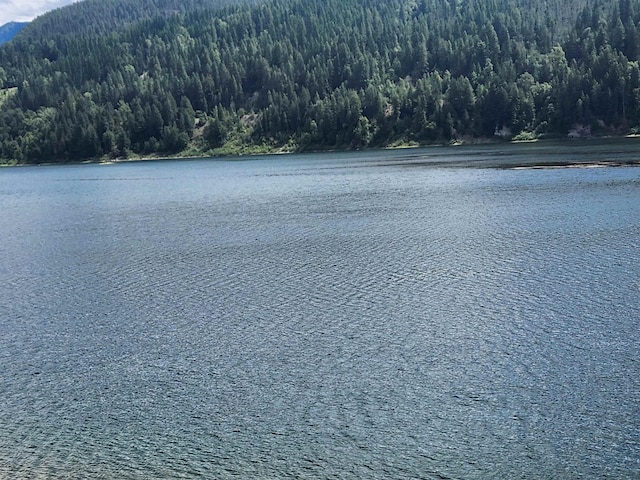 111 S Main St, Metaline, WA 99152 - photo 2