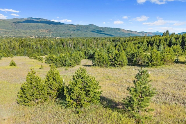 247 Schlegel Ranch Rd, Ione, WA 99139 - photo 11