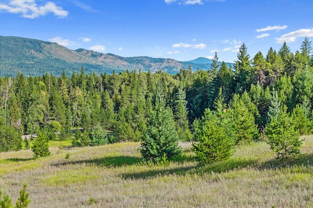 247 Schlegel Ranch Rd, Ione, WA 99139 - photo 13