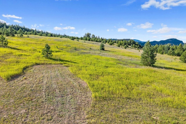 247 Schlegel Ranch Rd, Ione, WA 99139 - photo 17