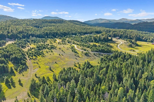 247 Schlegel Ranch Rd, Ione, WA 99139 - photo 21