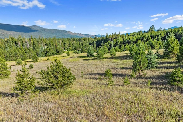 247 Schlegel Ranch Rd, Ione, WA 99139 - photo 24