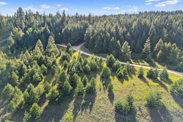247 Schlegel Ranch Rd, Ione, WA 99139 - photo 26