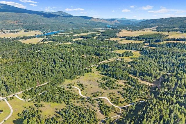 247 Schlegel Ranch Rd, Ione, WA 99139 - photo 30