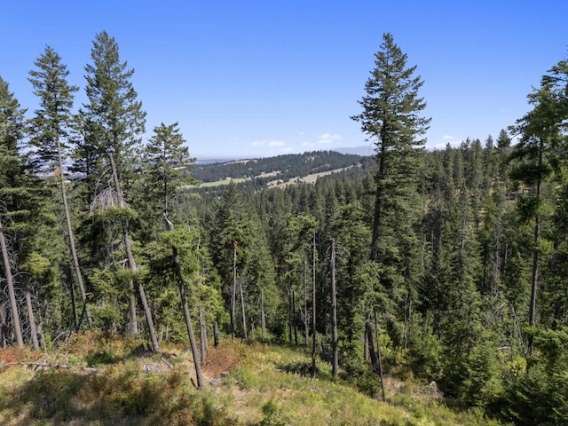 57XX S Corkery Rd # 34014.9095, Spokane, WA 99223 - photo 2