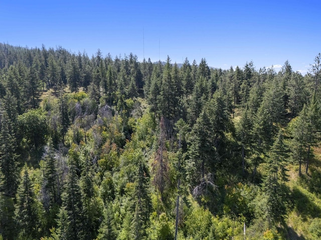 57XX S Corkery Rd # 34014.9095, Spokane, WA 99223 - photo 11