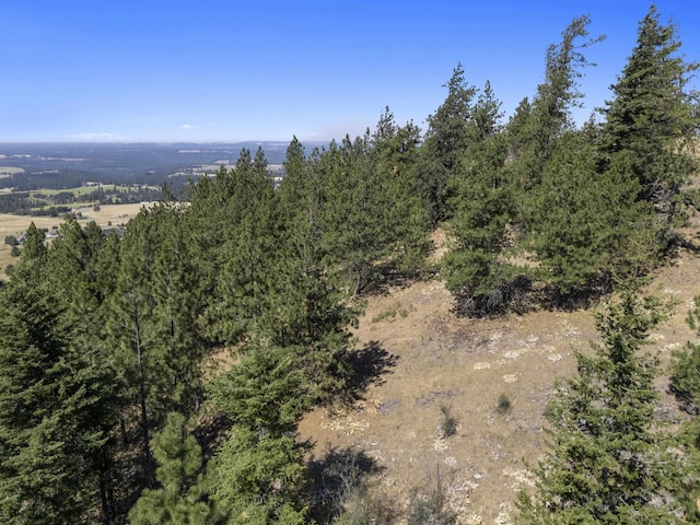 57XX S Corkery Rd # 34014.9095, Spokane, WA 99223 - photo 12