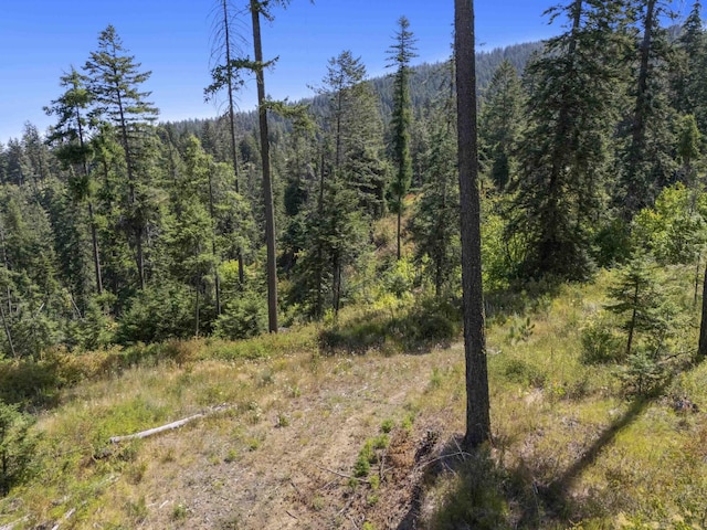 57XX S Corkery Rd # 34014.9095, Spokane, WA 99223 - photo 3