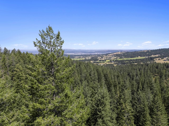 57XX S Corkery Rd # 34014.9095, Spokane, WA 99223 - photo 5