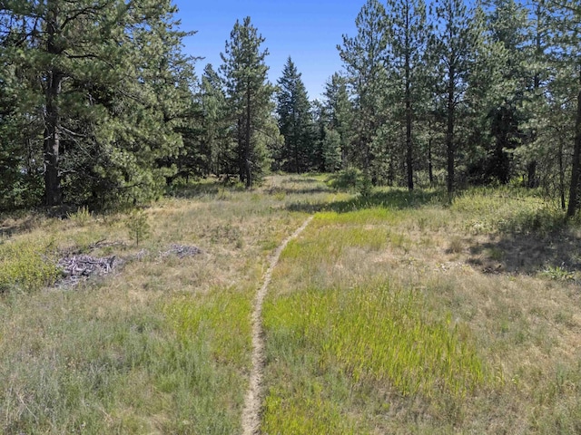 57XX S Corkery Rd # 34014.9095, Spokane, WA 99223 - photo 6