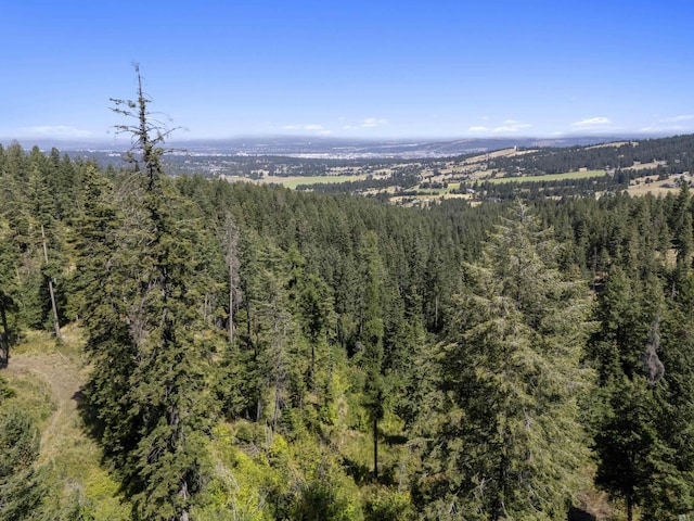 57XX S Corkery Rd # 34014.9095, Spokane, WA 99223 - photo 8