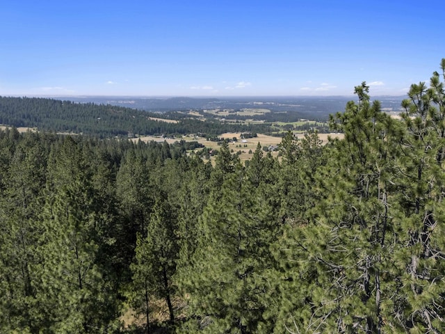 57XX S Corkery Rd # 34014.9095, Spokane, WA 99223 - photo 9