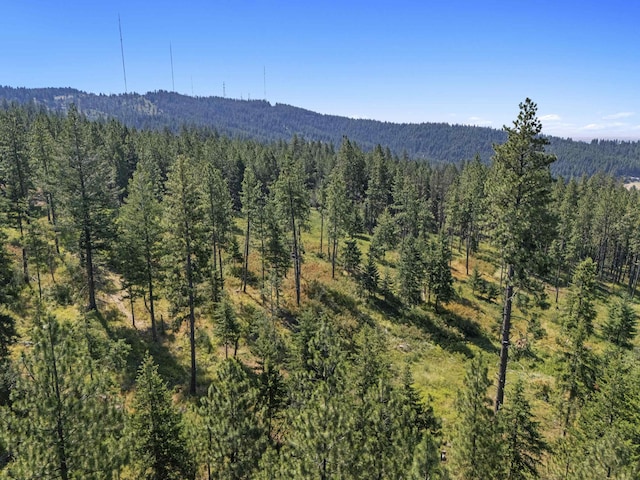 57XX S Corkery Rd # 34014.9095, Spokane, WA 99223 - photo 10