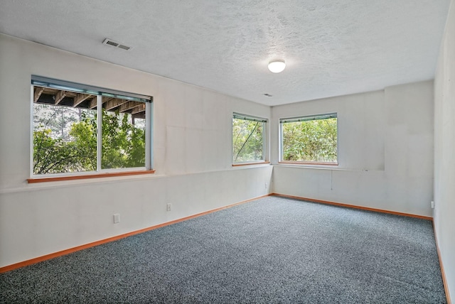 30807 N Dollar Ln, Chattaroy, WA 99003 - photo 24